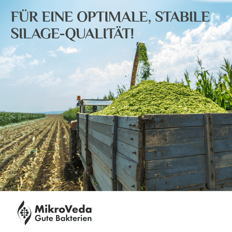 Landwirtschaft