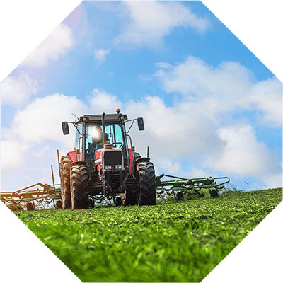 Landwirtschaft EM